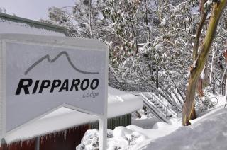 Ripparoo Lodge - Falls Creek - 0