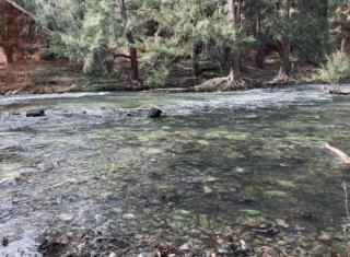 Lavender Cottage - Sofala - 8