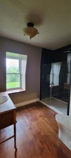 Historic Riverside Manor with Pool - 2