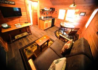 ADK Pinecone Cabin - Close to Rail Trail & Lake - 5