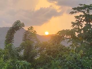 Mi Verde Horizonte - 5