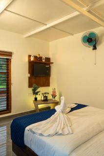 Coorg Saturn Homes - 5