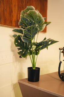 Coorg Saturn Homes - 2