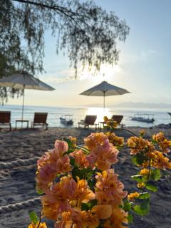 Jaya Beach Bungalows - 0