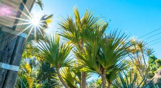 Slice of Sawtell Oceanstay - 4