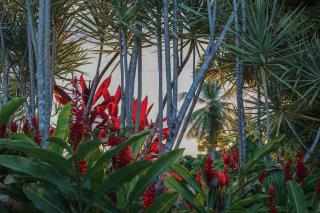 Habitation Alamanda by KVZ confort & vue montagnes - Les Abymes - 4