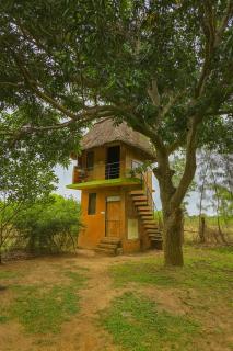Chapters Auroville Farmstay - 4