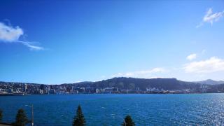 Wellington Waterfront, Exceptional Harbour Views - 4