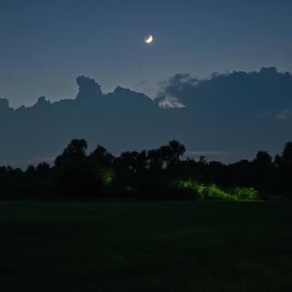 Chapters Auroville Farmstay - 1