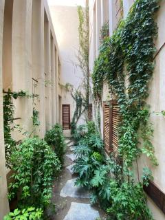 Condominios Punta Morelos - 0