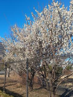 N's room & park ,Tokyo, Guest House - Vacation STAY 18814 - 6