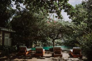 Bloom Bungalows Canggu - 6