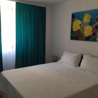Apartamente Seashells Mamaia Nord - 0