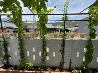 BÌNH MINH homestay - Vĩnh hy - 6