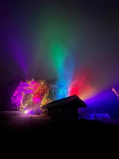 WoodMood - 8