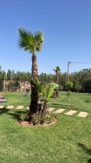 Villa Ramona - 9