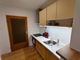 Grünerbalkon Ferienappartement - 1