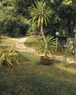 Bung Bud Homestay Kohyaonoi - 1