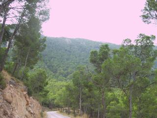 Aljibe de Monastrell - 6