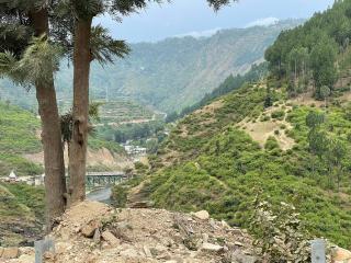 Monal by Shubhs - 8