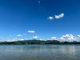 Tiny Haus am Wallersee - 0