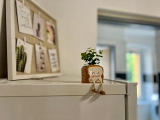 Tiffany's House - 7