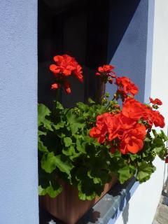 Brusna Farmhouse - 6