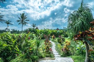 Ubud Garden Villa - 2