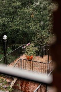 The Green Lizard Guesthouse - 1