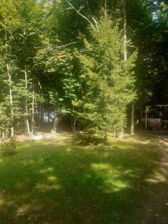 Guesthouse Dioni - 2