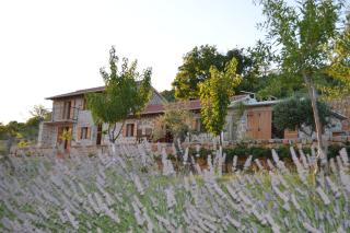 Villa Mara - secluded house with breathtaking view- Seline, Starigrad Paklenica - Seline - 9