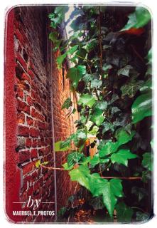 Stadtvilla Jever # Apartment Minssen - 6
