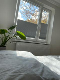 Zentrale City-Oase - Ruhe, Kulinarik & Komfort im bunten Viertel - 2