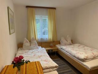 Pension am Waldesrand - 6