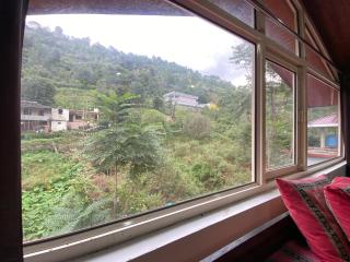 Shyam Jee - A NH5 Homestay - 2