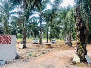 Village Farm house - 3