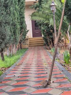 Green Garden Shuvelan - 9