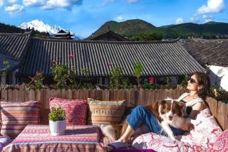 Yiyuan Snow Mountain View Historical Naxi House - Lijiang Old Town Mufu branch - 3