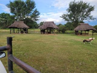 Lush Horizons Game Lodge - Modimolle - 6