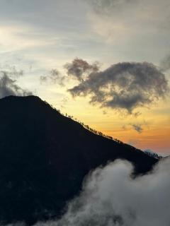 Harmony hill - Bayan - 3
