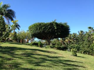 Private studio with stunning ocean views at Villa Tranquila - 7