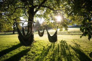 Das Hinterwald - Auszeit im Grünen - 8