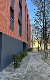Comfortable 2 room apartment with 54 m2 - 3