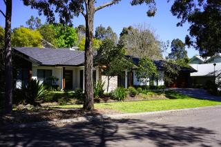 Jacaranda Amber - 9