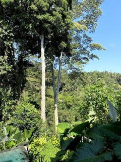 #B Vishnu Villa - Jungle Retreat - Ubud - 1