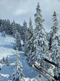 Hotel Buckelhof - See - only 20 min from Ischgl - 2