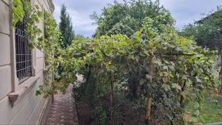 Green Garden Shuvelan - 6