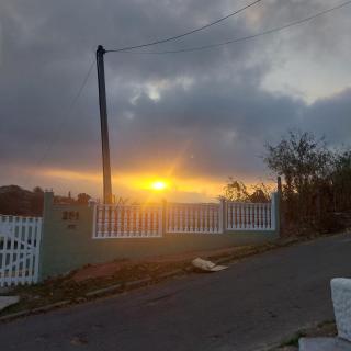 Miniecharmosa - 7