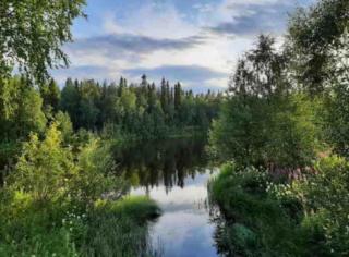 Cozy two-room apartment with sauna - Sodankylä - 3