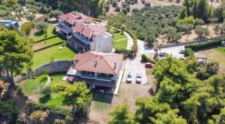 Poseidi - Villa Olivia - 7